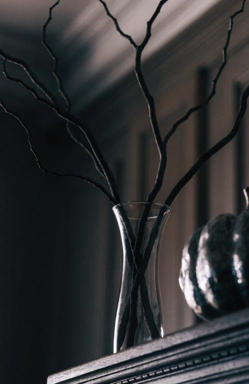 close-up-of-bare-black-painted-branches-arrange