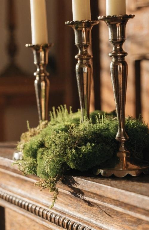 close-up-of-preserved-green-moss-tucked