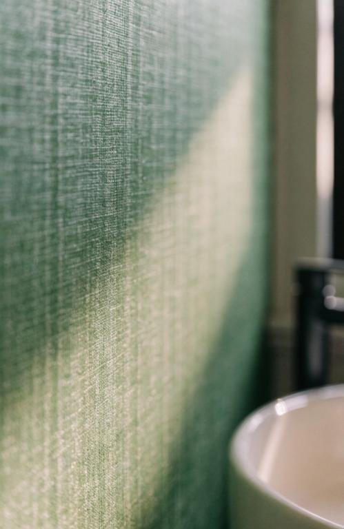 close-up-of-green-grasscloth