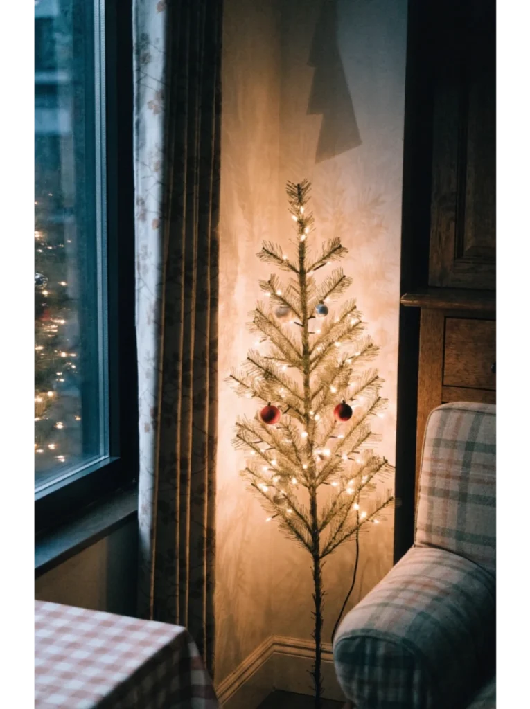 A slim or pencil tree in the corner