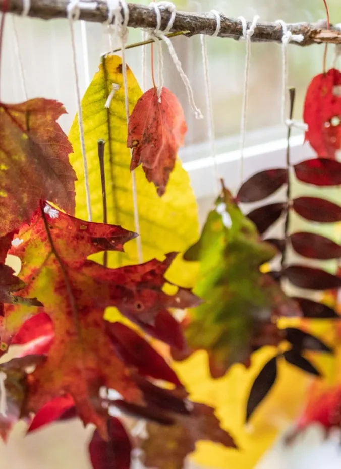 Fall leaf garland with colorful leaves hanging from a branch