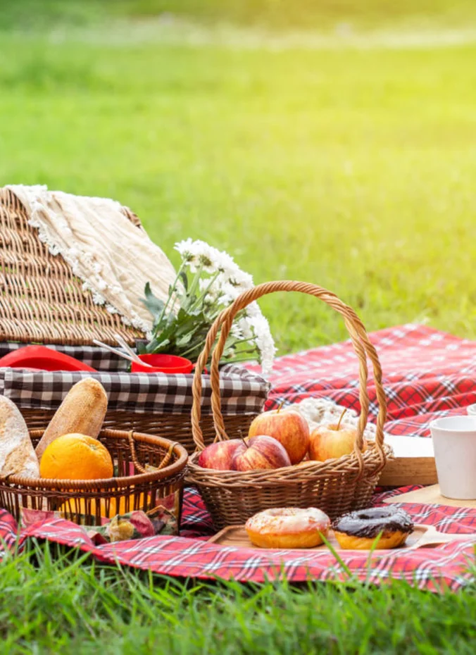 Picnic gift basket with blanket snacks and drinks for a park outing