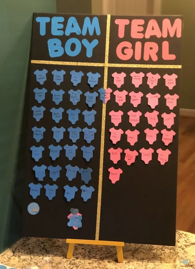 Team pink and team blue signs at a gender reveal party
