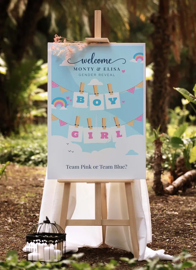 Boy or girl welcome sign at a gender reveal party entrance