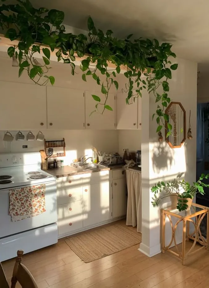 Trailing pothos spilling over the edge above kitchen cabinets