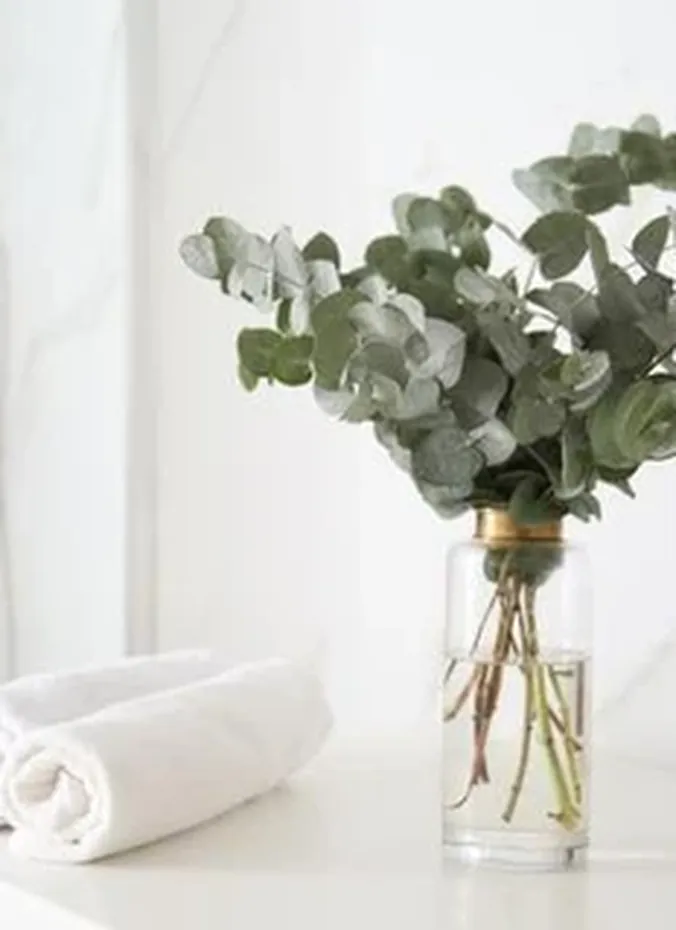 Eucalyptus stems in a glass vase as bathroom decor