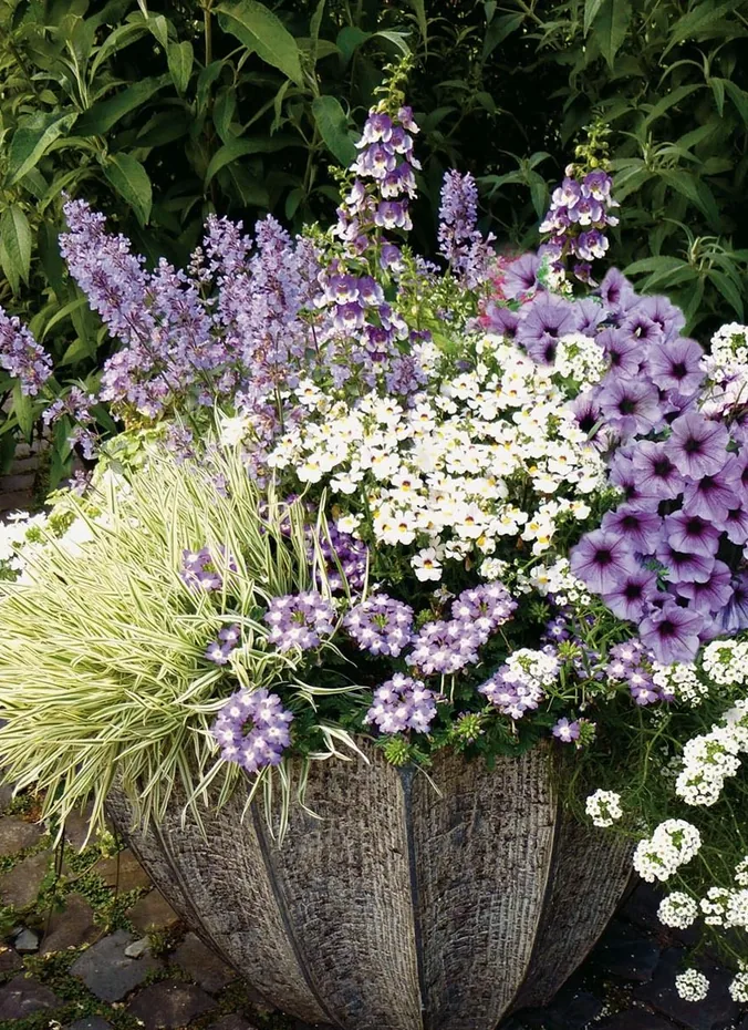Purple verbena and white alyssum spilling over a porch pot